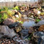 Gallery image showing close-up of pond plants and natural stone accents