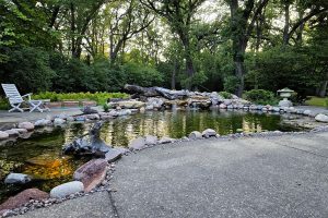 Backyard koi pond with natural kidney shape