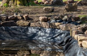 backyard pond installation