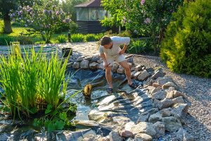 Spring pond cleanout removing debris from backyard ecosystem pond