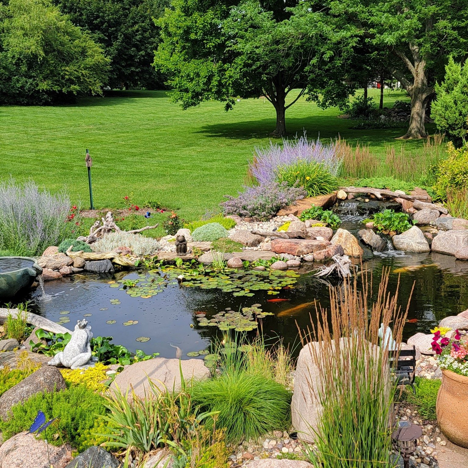 Backyard pond with natural stone edging and lush greenery